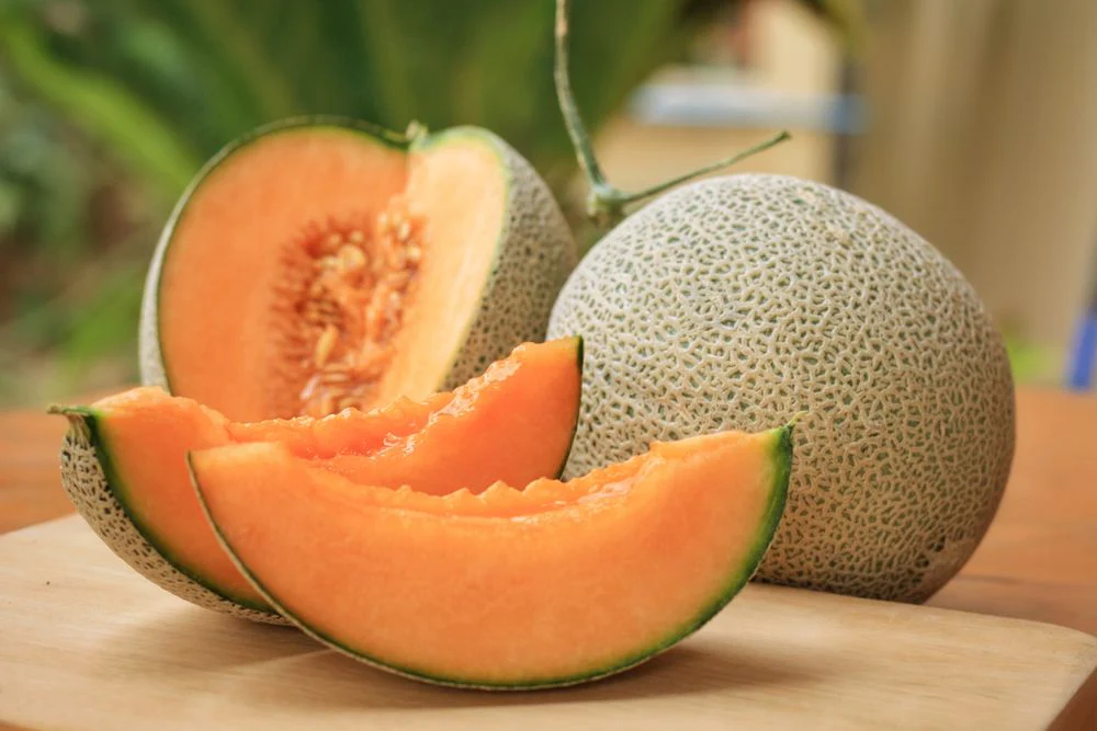 Hydration & Alkaline Balance: The Summer Miracle of Sweet Musk Melon