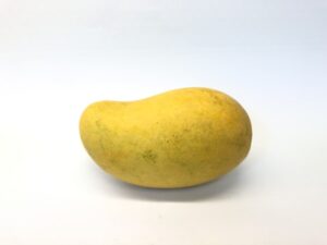 The King of Fruits: Sourcing & Nutritional Secrets of Ratnagiri Alphonso Mangoes